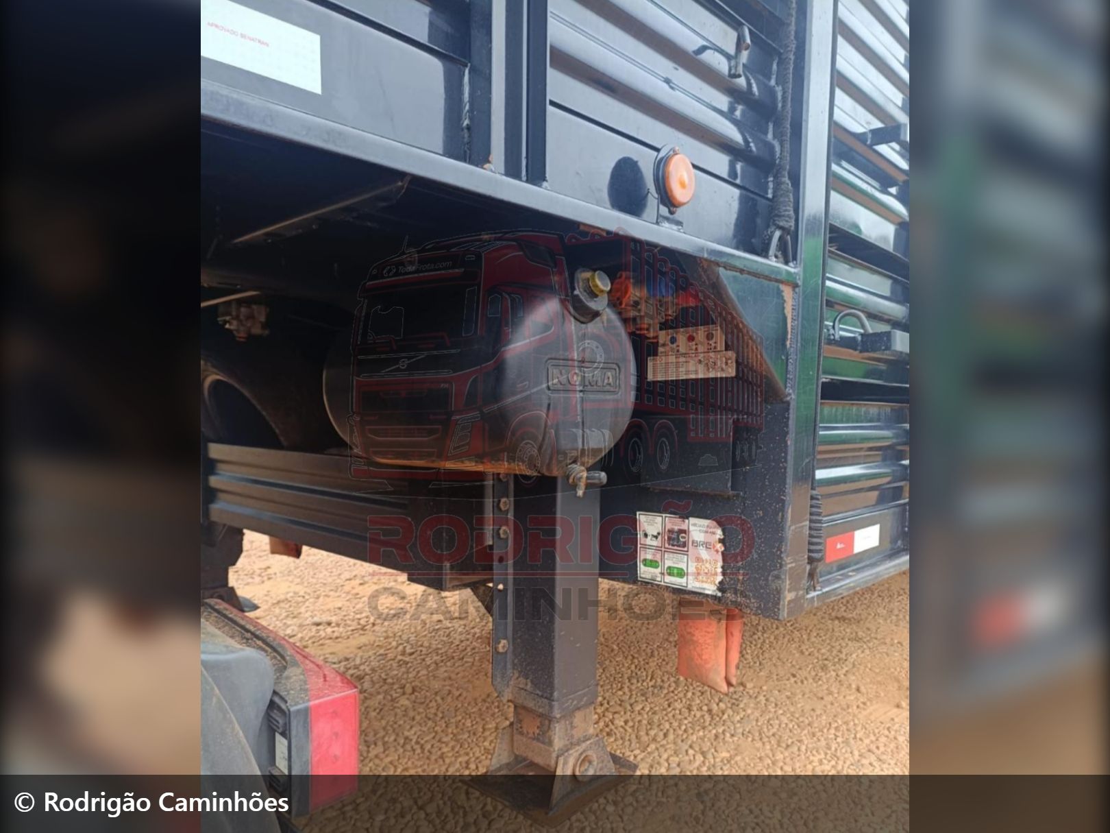 implemento outros Transporte de Animais 2024 em São José do Rio Preto/São Paulo - Imagem 5 de 6