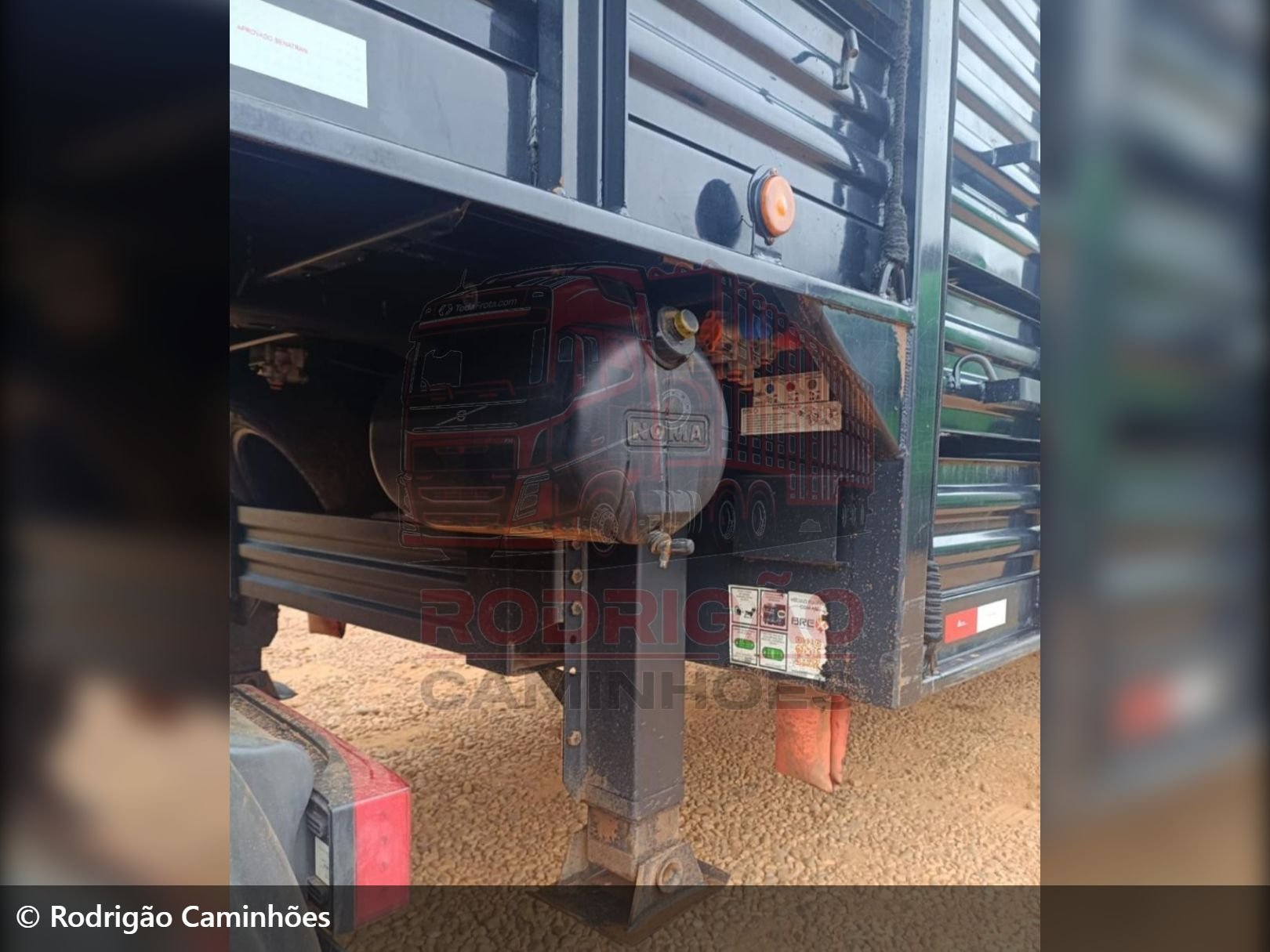 implemento outros Transporte de Animais 2024 em São José do Rio Preto/São Paulo - Imagem 5 de 6
